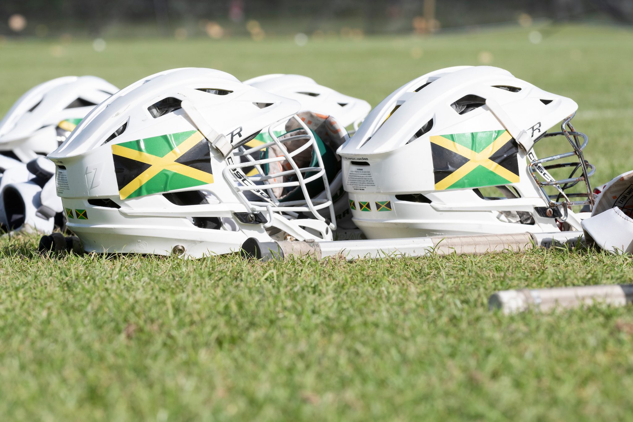 ‘A really critical time for us’ Jamaica prepares to showcase its